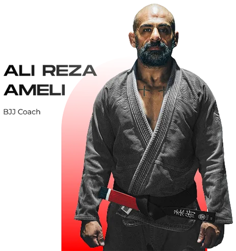 Ali Reza Ameli, BJJ Coach